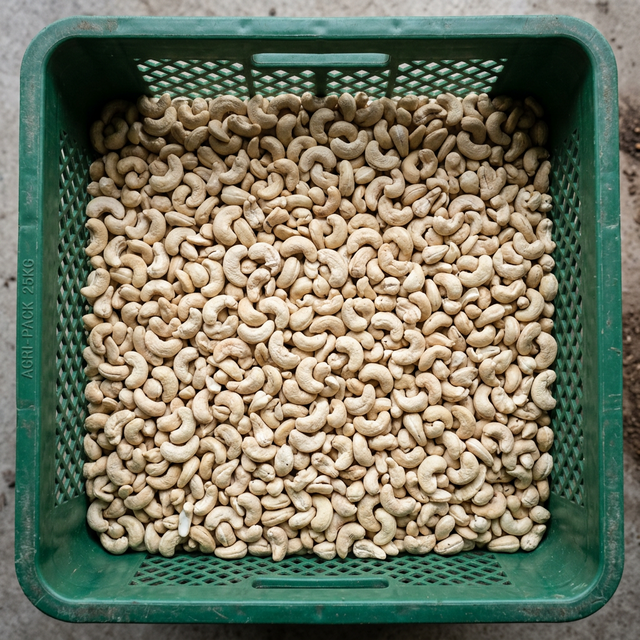 Amandes de cajou décortiquées